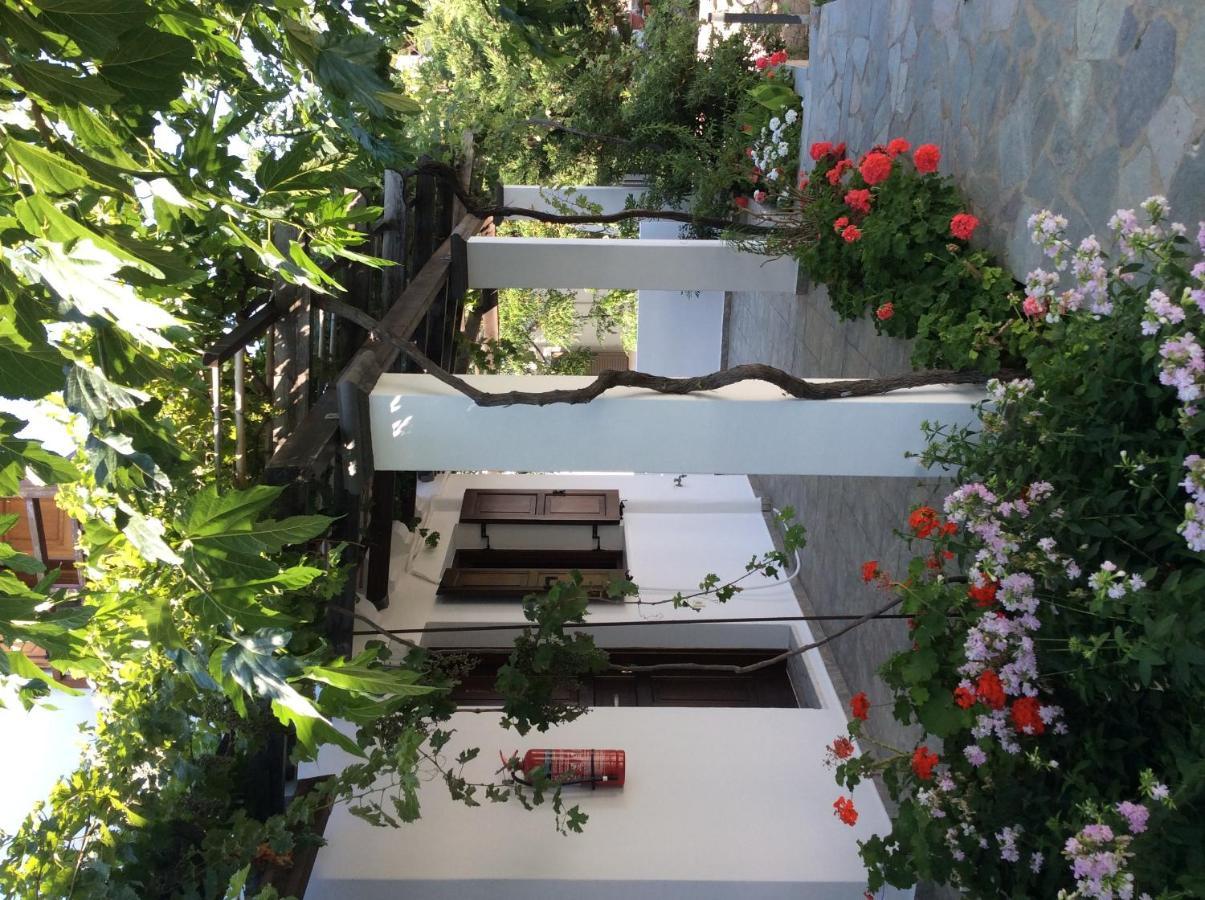 Eleana Studios Skyros Extérieur photo