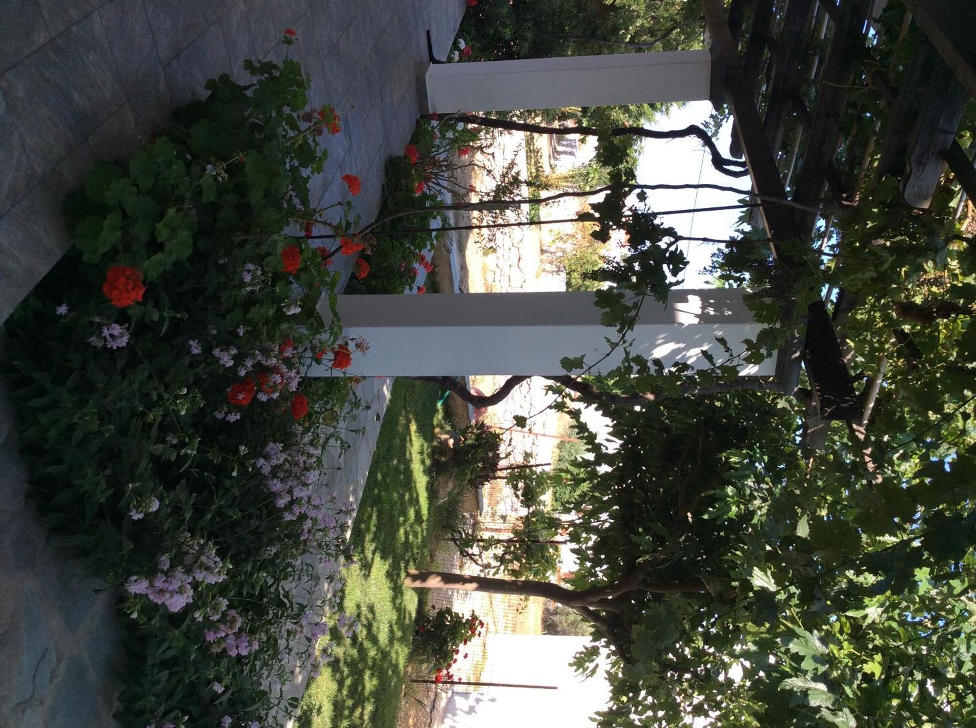 Eleana Studios Skyros Extérieur photo
