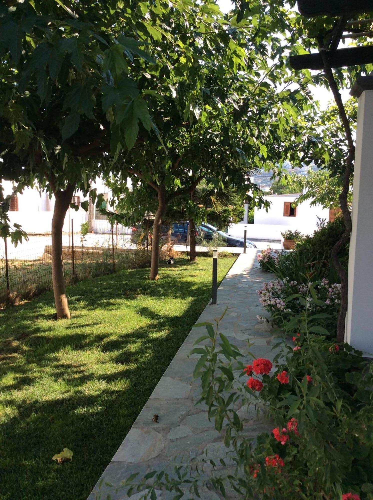 Eleana Studios Skyros Chambre photo