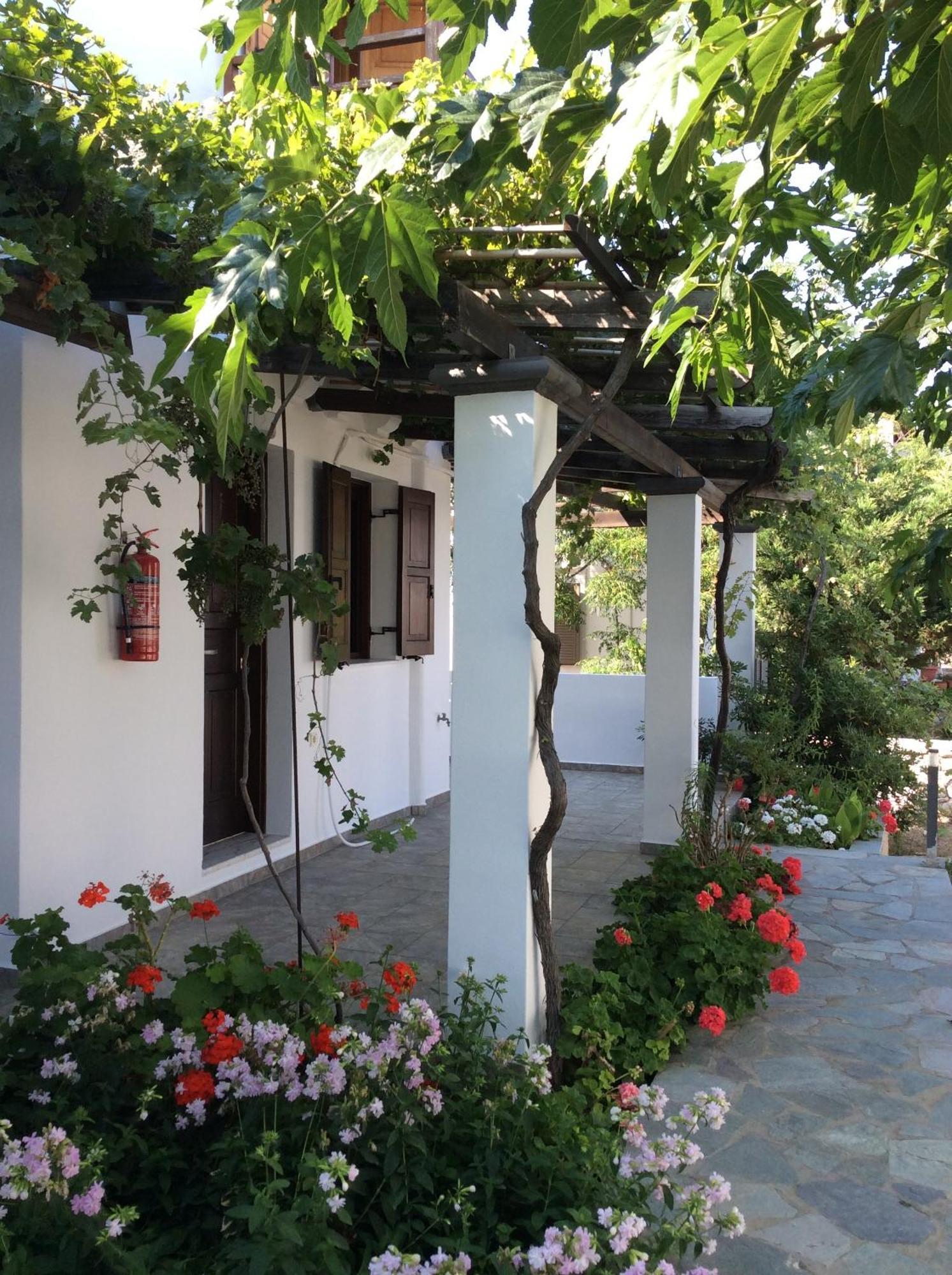 Eleana Studios Skyros Extérieur photo