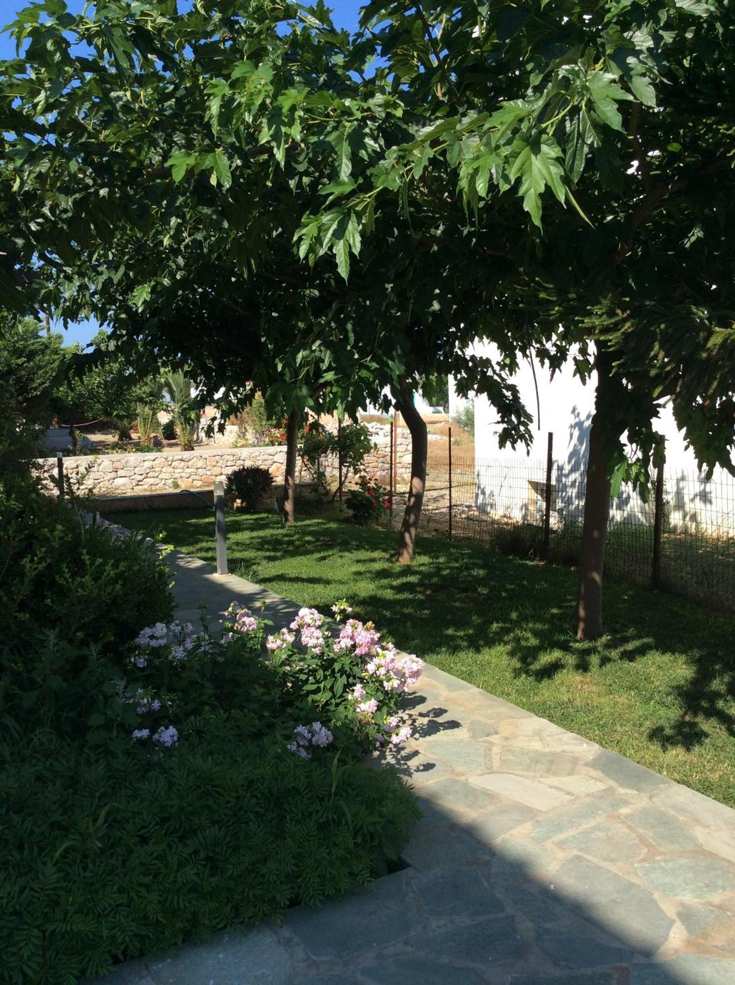 Eleana Studios Skyros Extérieur photo