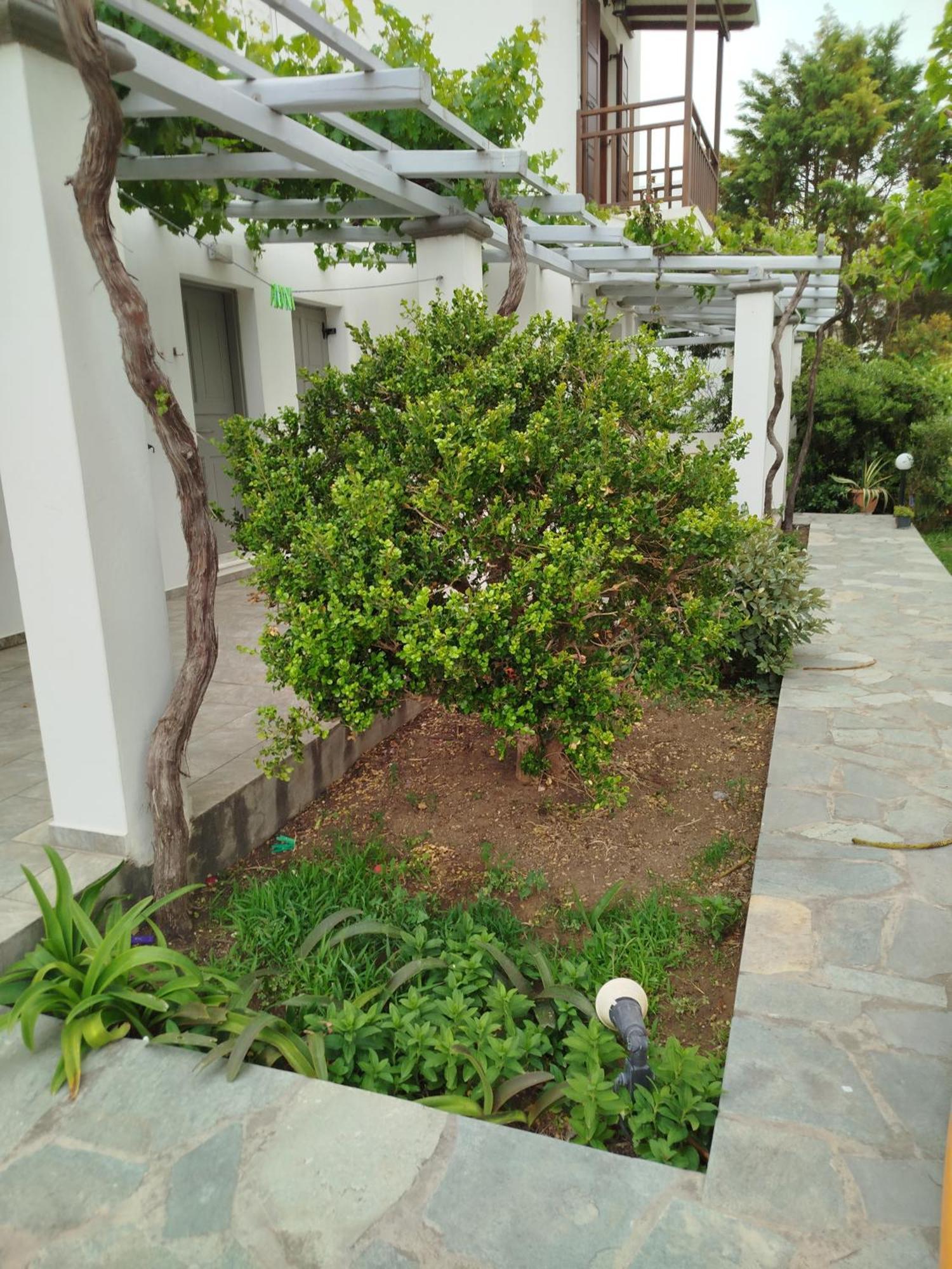 Eleana Studios Skyros Extérieur photo